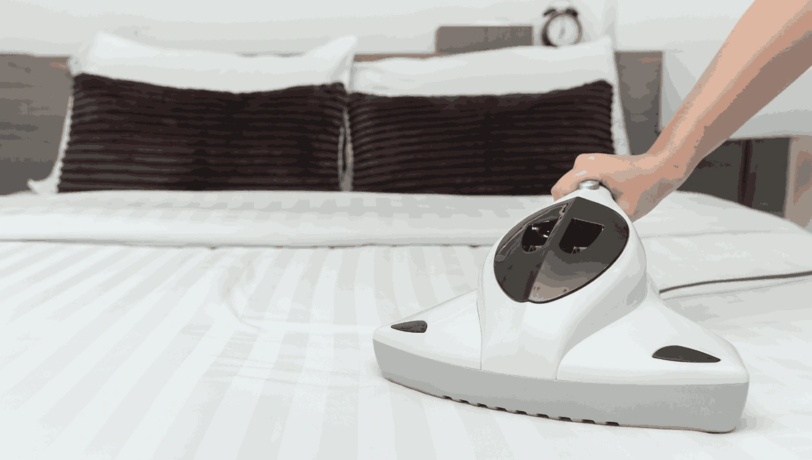 Professional Mattress Cleaning Manifold Heights